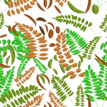 Seamless pattern with green and ginger acacia leaves isolated on white Illustrazione stock