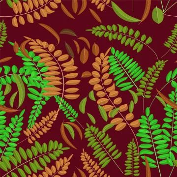 Seamless pattern with green and ginger acacia leaf on bordo background Stock Illustration
