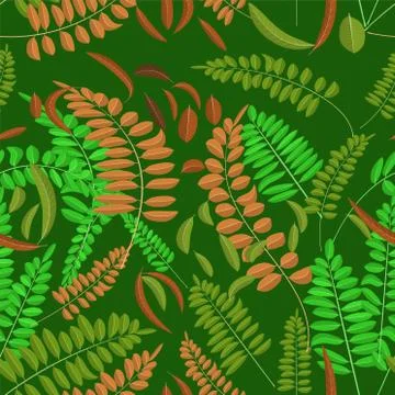 Seamless pattern with green and ginger acacia leaf on darc green background Stock-Illustration