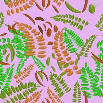 Seamless pattern with green and ginger acacia leaf on violet background Stock-Illustration