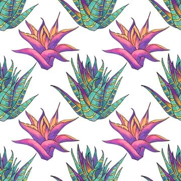 Seamless pattern green and purple succulent haworthia and aloe vera home plant Stock Illustration