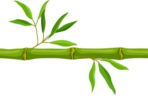 Seamless pattern with green bamboo stem and leaves. Decorative exotic plants of Stock Illustration