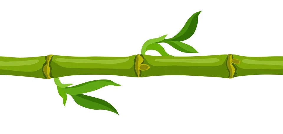 Seamless pattern with green bamboo stem and leaves. Decorative exotic plants of Stock Illustration