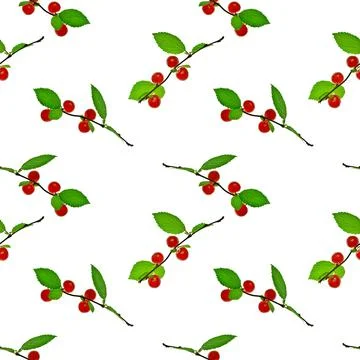 Seamless pattern. Green branches and red berries. Chinese cherry. Foto stock