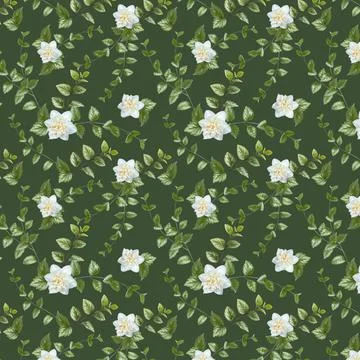 Seamless pattern with green branches and white flowers on a  green background Stock Photos