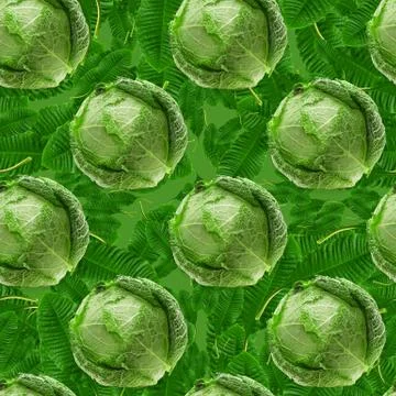 Seamless pattern of green cabbage and green leaves. template for designer Stock Photos