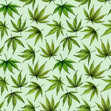 Seamless pattern of green cannabis leaves on a green background Stock Illustration
