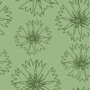 Seamless pattern with green cornflowers flowers, Floral graphic design Stock Illustration