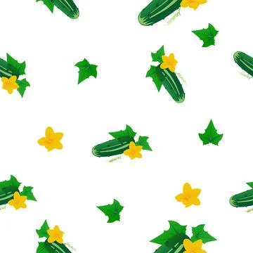Seamless pattern of green cucumber with leaves and yellow flower. Stock-Illustration