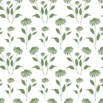 Seamless pattern with green Echinacea plant silhouette Stock Illustration
