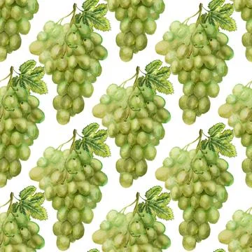 Seamless pattern with green grape Illustrazione stock