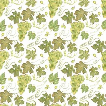 Seamless pattern of green grapes, grape vines repeat paper, hand drawn prin.. Illustrazione stock