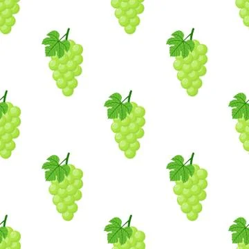 Seamless pattern with green grapes on white background. Bunch of purple grape Stock Illustration