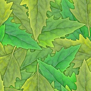 Seamless pattern of green leafs Stock Photos