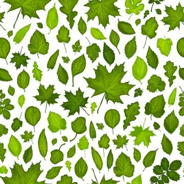 Seamless pattern of green leaves background Stock Illustration