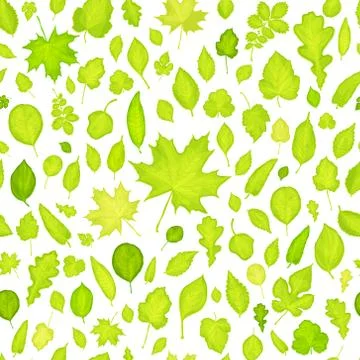 Seamless pattern of green leaves background Stock Illustration