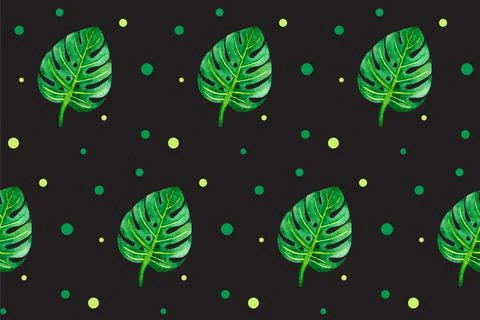 Seamless pattern with green leaves on black board. Monstera illustration. Han Stock Illustration