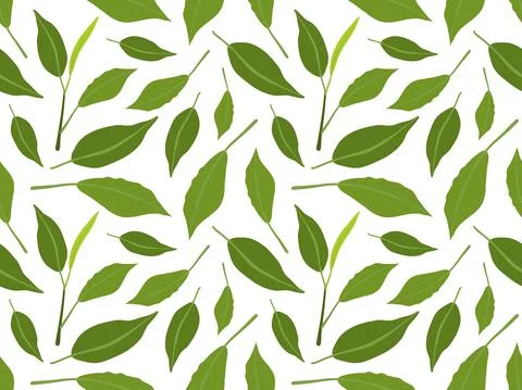 Seamless pattern with green leaves. Green fresh leaves on white background. Tea Stock Illustration