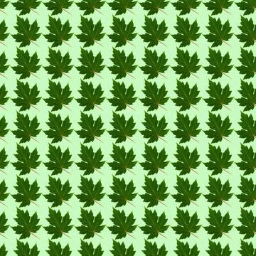 Seamless pattern with green leaves on a light green background that can be us Foto stock