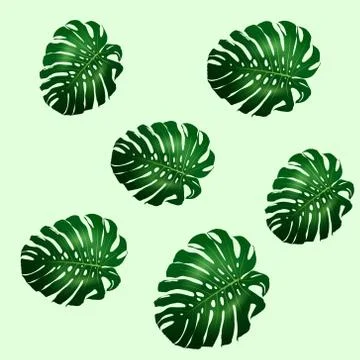Seamless pattern of green leaves Monstera 스톡 일러스트