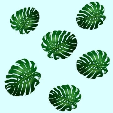 Seamless pattern of green leaves Monstera Stock Illustration