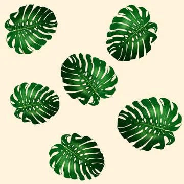 Seamless pattern of green leaves Monstera 스톡 일러스트