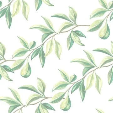 Seamless pattern with green leaves of oranges tree. Hand drawn watercolor Stock Illustration