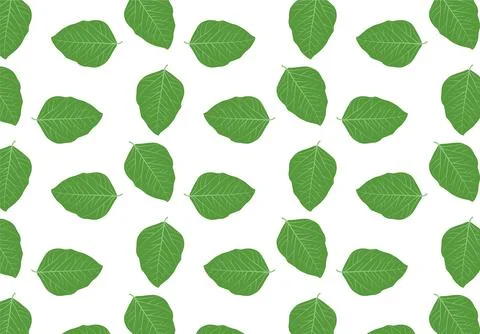 Seamless pattern with green leaves, a pattern of green 스톡 일러스트