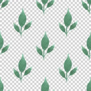Seamless pattern of green leaves, twigs, hand drawn watercolor on white 스톡 일러스트