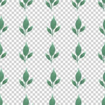 Seamless pattern of green leaves, twigs, hand drawn watercolor on white Illustrazione stock