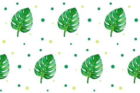 Seamless pattern with green leaves on white. Monstera illustration. Hand drawn Stock Illustration
