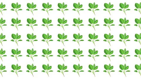 Seamless pattern of green leaves on white background for nature and organic.. 스톡 일러스트