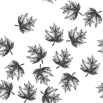 Seamless pattern green maple leaf sketch hand drawn イラスト素材