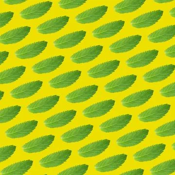 Seamless pattern of green mint leaves on a yellow background Foto stock