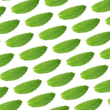 Seamless pattern of green mint leaves Foto stock