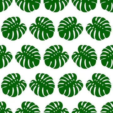 Seamless pattern with green monstera leaves on white background. 스톡 일러스트