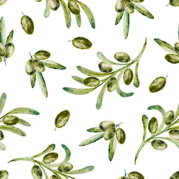 Seamless pattern with green olive branches on white background. Hand drawn Stock Illustration