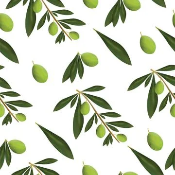 Seamless pattern with green olive tree leaves and olives 스톡 일러스트