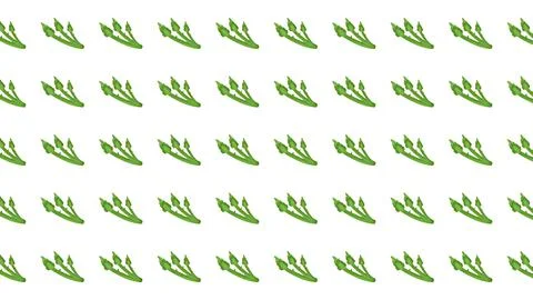 Seamless Pattern of Green Organic Plant Sprigs and Leaves Isolated on White.. 스톡 일러스트