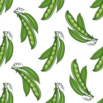 Seamless pattern with green pea pods. Stock Illustration