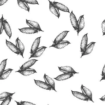Seamless pattern green pea sketch hand drawn Stock Illustration