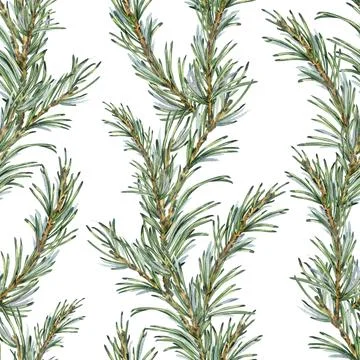 A seamless pattern with green pine and fir tree branches in the form of vertical Stock Illustration
