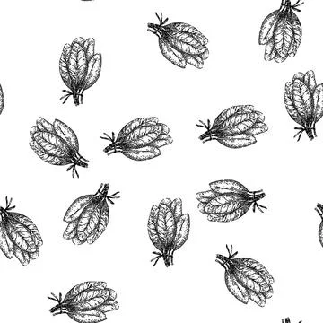 Seamless pattern green sage sketch hand drawn Stock Illustration