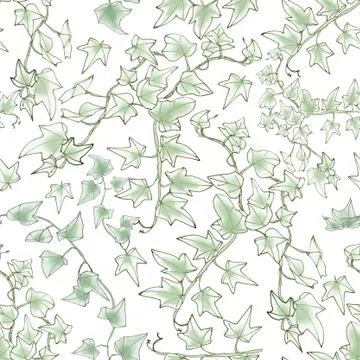 Seamless pattern, green sprig of ivy, graphic linear pattern, botanical sketc Stock Illustration