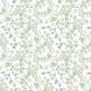 Seamless pattern, green sprig of ivy, graphic linear pattern, botanical sketc Stock Illustration