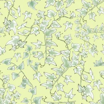 Seamless pattern, green sprig of ivy, graphic linear pattern, botanical sketc 스톡 일러스트