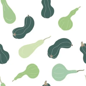 Seamless pattern with green squashes and gourds on white. Stock Illustration