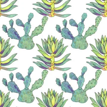 Seamless pattern green succulent cotyledon and opuntia home plant on white Stock Illustration