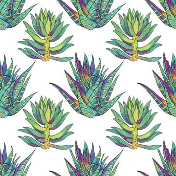 Seamless pattern green succulent cotyledon and opuntia home plant on white Illustrazione stock