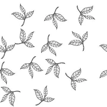 Seamless pattern green tea leaf sketch hand drawn Stockillustratie